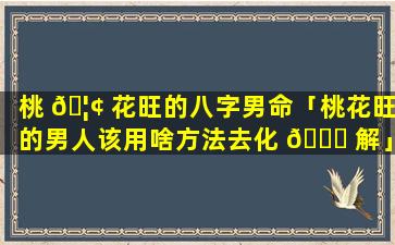 桃 🦢 花旺的八字男命「桃花旺的男人该用啥方法去化 🐈 解」